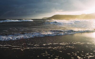 Reprehenderit fugiat ipsum quia