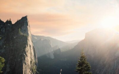 Incidunt quibusdam ut enim voluptas et fugit